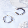 1 Pair 304 Stainless Steel Hoop Earrings For Women EJEW-LP0011-06C-3