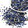 Natural Lapis Lazuli Chip Beads G-O103-21-1