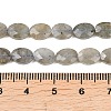 Natural Labradorite Beads Strands G-H349-A01-03-4