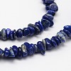 Chips Natural Lapis Lazuli Beads Strands X-G-N0164-46-2