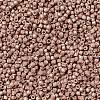 MIYUKI Delica Beads X-SEED-J020-DB1165-3