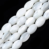 Natural Trochid Shell/Trochus Shell Beads Strands SSHEL-S266-021A-01-1