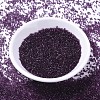 MIYUKI Delica Beads SEED-J020-DB1312-3