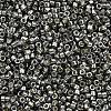 MIYUKI Delica Beads X-SEED-J020-DB2512-2