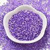 Imitation Cat Eyes Glass Seed Beads SEED-H003-03F-2