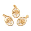 Brass Shell Pendants KK-M243-34G-3