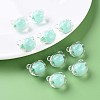 Transparent Acrylic Beads MACR-S373-122-B03-7