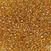 TOHO Round Seed Beads SEED-JPTR08-0753-2