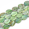 Freshwater Shell Beads Strands SHEL-S274-61B-2