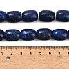 Natural Lapis Lazuli Beads Strands G-H319-A01-03-5