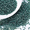 MIYUKI Delica Beads SEED-J020-DB0607-1