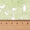 Transparent Colours Glass Seed Beads SEED-P007-01A-02-4