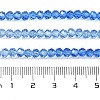 Transparent Painted Glass Beads Strands DGLA-A034-T4mm-A01-3