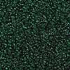 MIYUKI Round Rocailles Beads SEED-X0056-RR0156-3