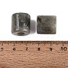 Natural Labradorite European Beads G-P520-05K-2