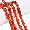 Dyed Natural Agate Beads Strands G-T141-15A-02-2