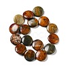 Natural Picasso Stone/Picasso Jasper Beads Strands G-B032-C01-2