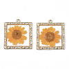 Epoxy Resin Pendants X-RESI-T045-029F-2