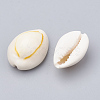 Cowrie Shell Beads SSHEL-T004-06-2