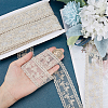 Polyester Hollow Embroidered Lace Trim OCOR-WH0079-13A-3