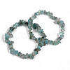 Unisex Chip Natural Apatite Beaded Stretch Bracelets BJEW-S143-54-1