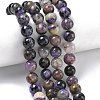 Natural Charoite Beads Strands G-C270-O03-08-1