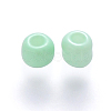 6/0 Baking Paint Glass Round Seed Beads SEED-S036-01C-02-2