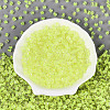 Transparent Inside Colours Glass Seed Beads SEED-T007-11J-1