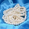 AB Color Plated Shell Pearl Round Bead Strands BSHE-L011-6mm-C001-2