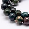 Natural Indian Bloodstone Beads Strands G-P257-07-6mm-3