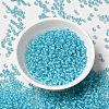 12/0 Transparent Glass Seed Beads X-SEED-F003-03C-10-2