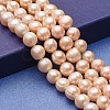 Natural Cultured Freshwater Pearl Beads Strands PEAR-P060-24B-01-1