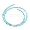 Natural Freshwater Shell Beads Strands SHEL-P017-01A-03-2
