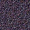 MIYUKI Round Rocailles Beads X-SEED-G007-RR1013-3