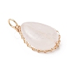 Natural Rose Quartz Pendants PALLOY-JF04776-01-3