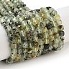 Natural Prehnite Beads Strands G-B088-E16-04-1