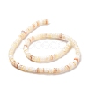 Shell Beads Strands SSHEL-E571-49I-4