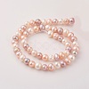 Natural Cultured Freshwater Pearl Beads Strands PEAR-G007-10-01-2