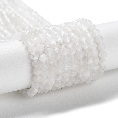 Natural Rainbow Moonstone Beads Strands G-J400-E12-01-1
