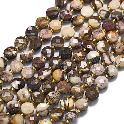 Natural Zebra Jasper Beads Strands G-K389-B69-01-1