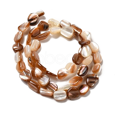 Natural Sea Shell Beads Strands SHEL-K006-16A-1