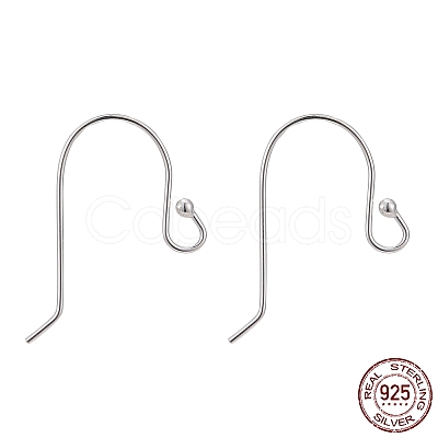 925 Sterling Silver Earring Hooks STER-G011-13-1
