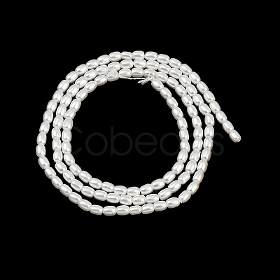 Electroplated Shell Pearl Beads Strands BSHE-H113-06A-06-1