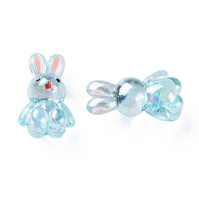Transparent Acrylic Beads LS-MACR-S373-81-Q03-1