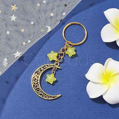 Tibetan Style Alloy Hollow Moon Pendant Keychain KEYC-JKC00690-01-1