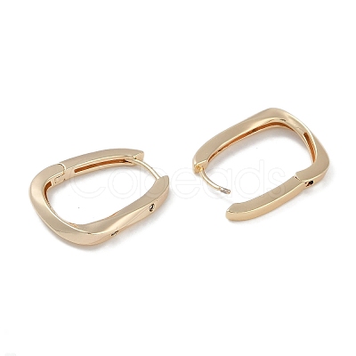 Clear Cubic Zirconia Hoop Earrings EJEW-L292-015G-1