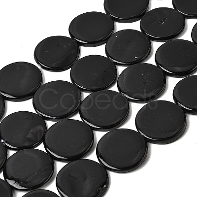 Natural Freshwater Shell Beads Strands SHEL-A006-01B-1