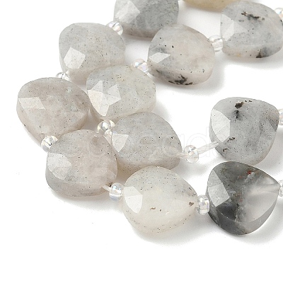 Natural Labradorite Beads Strands G-D316-A17-1