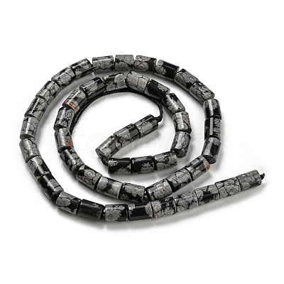Natural Snowflake Obsidian Stone Beads Strands G-Q1008-A02-1