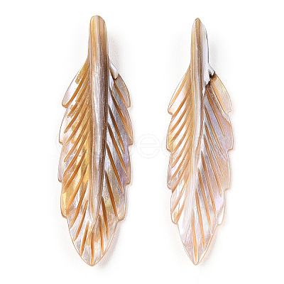 Natural Freshwater Shell Pendants SHEL-N026-140-1
